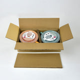 Set of 2 Pcs 22 oz Soup Mug with Lid - Orange & Viridian